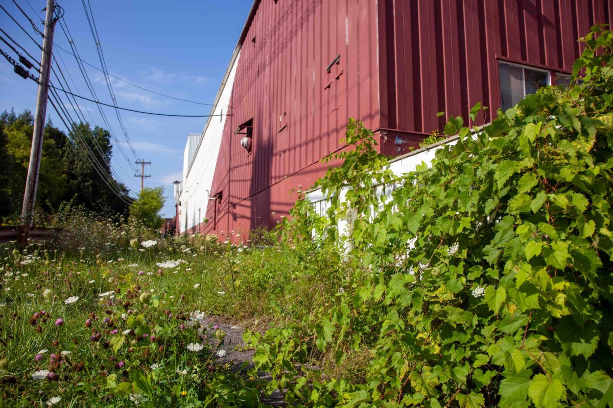 Hundreds of Bennington-area residents qualify for PFOA medical monitoring