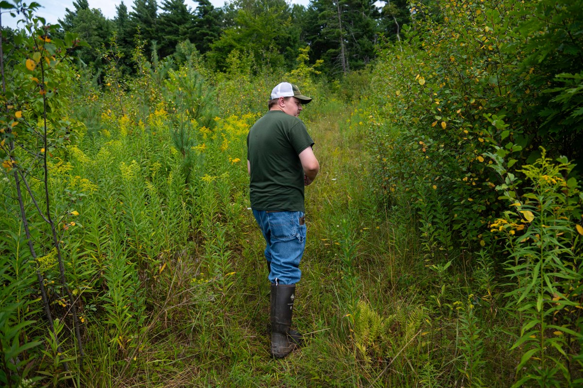 A person in a green shirt, jeans, and rubber boots stands on a grassy path surrounded by dense vegetation and trees, looking over their shoulder.