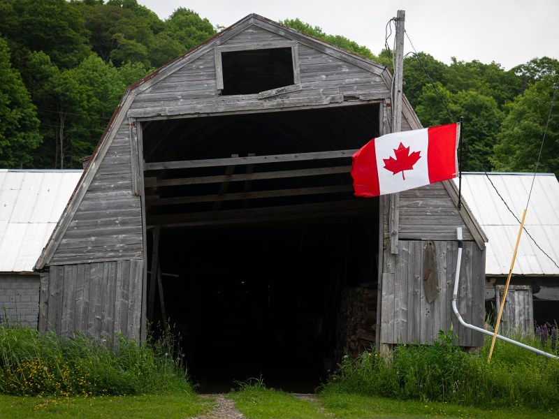 A weathered wooden barn with an open entrance displays a Canadian flag. Green foliage and grass surround the structure.