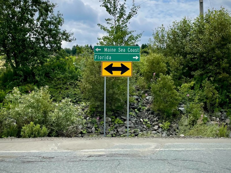A road sign with directional arrows indicates left for Maine Sea Coast and right for Florida, situated along a road surrounded by greenery and trees.