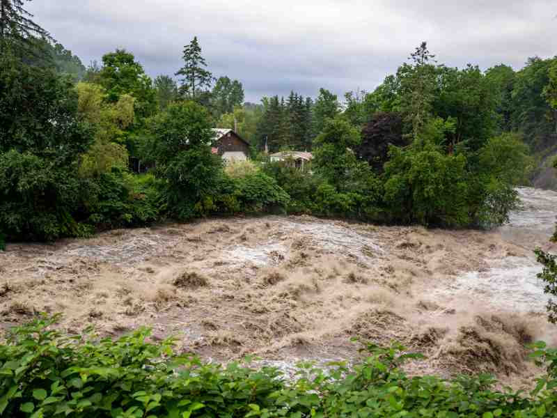 A swollen river with turbulent, muddy water flows forcefully past a tree-lined area with houses in the background under an overcast sky.