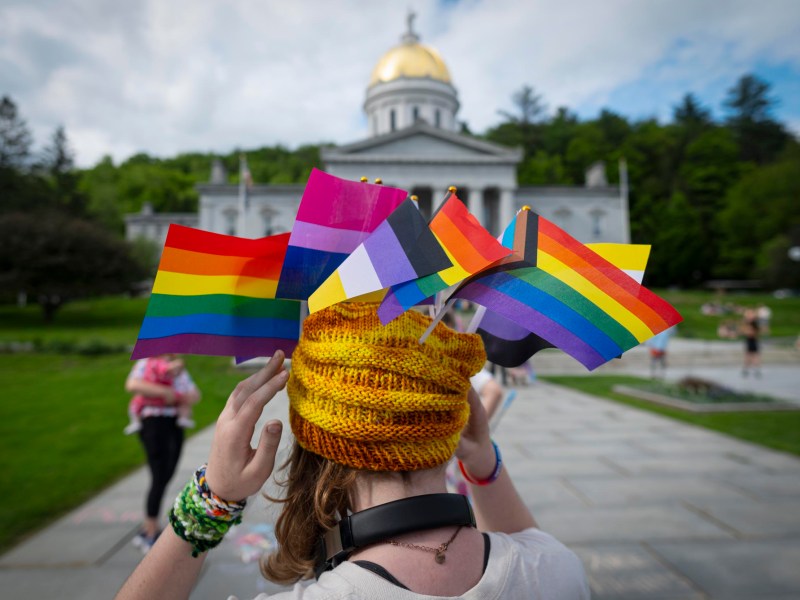 A person holds LGBTQ+ pride flags behind their head outside a domed government building, with people and greenery visible in the background.