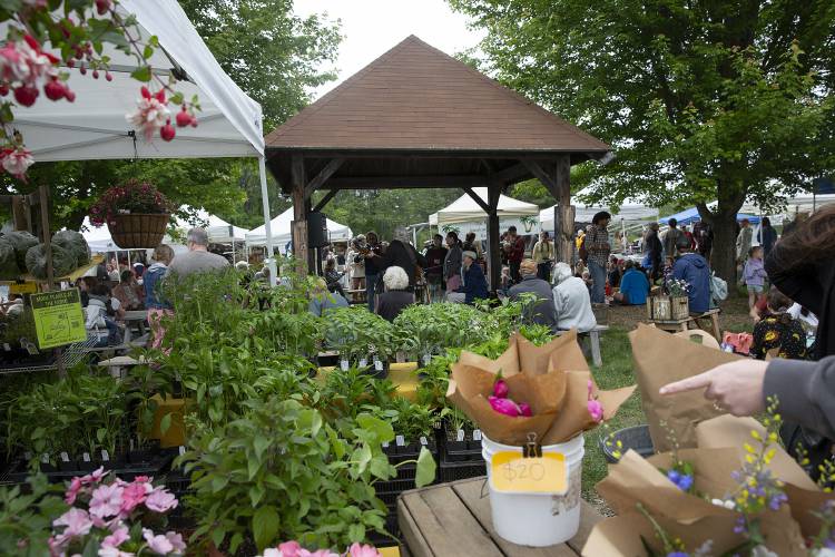 People gather at an outdoor market with flowers, plants, and bouquets for sale under tents and a wooden pavilion surrounded by trees.