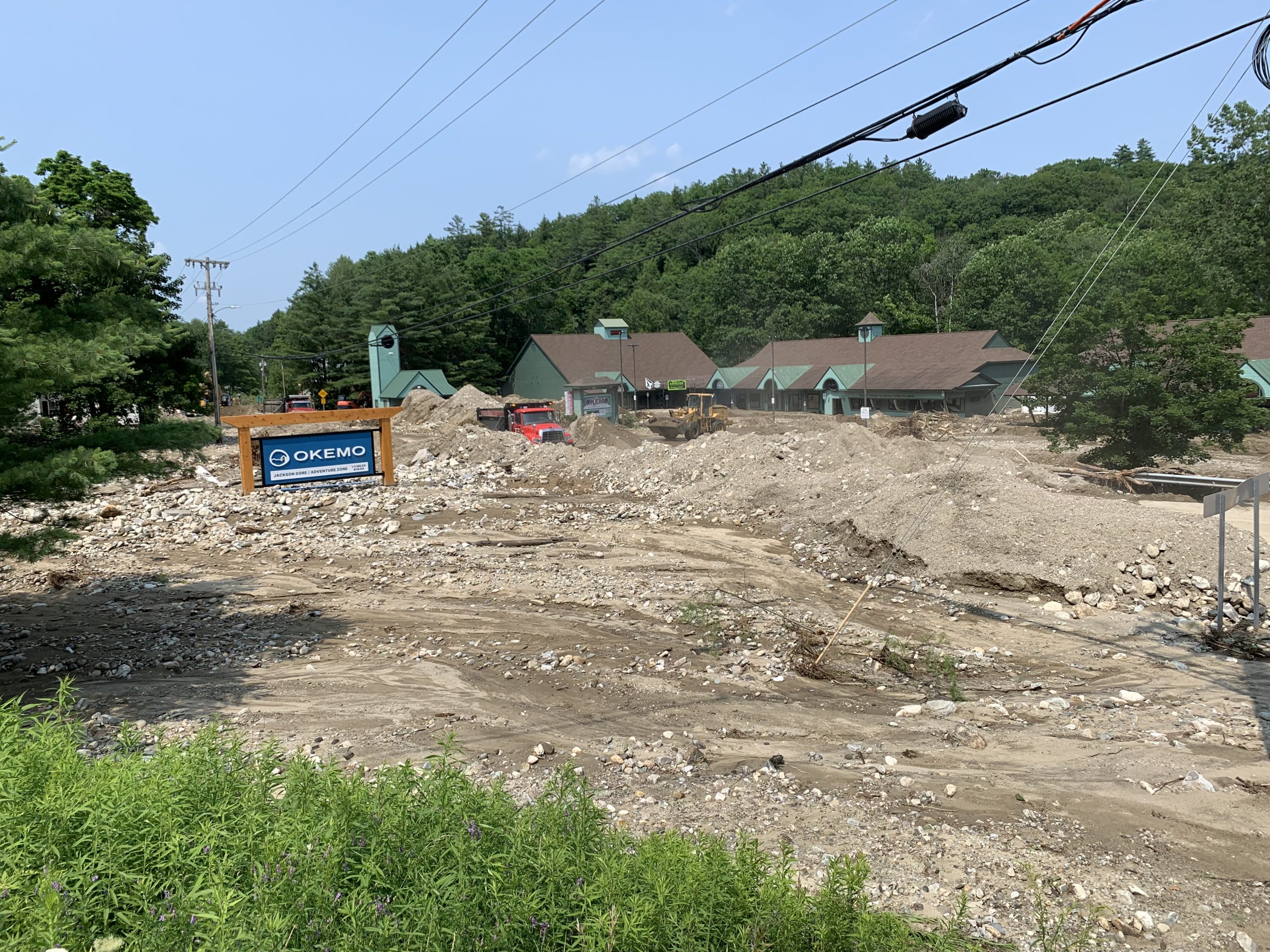 a dirt road in the middle of a wooded area.