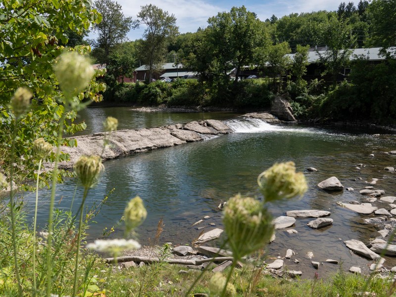 A small waterfall flows over rocks in a calm river surrounded by trees and houses, with wildflowers in the foreground.