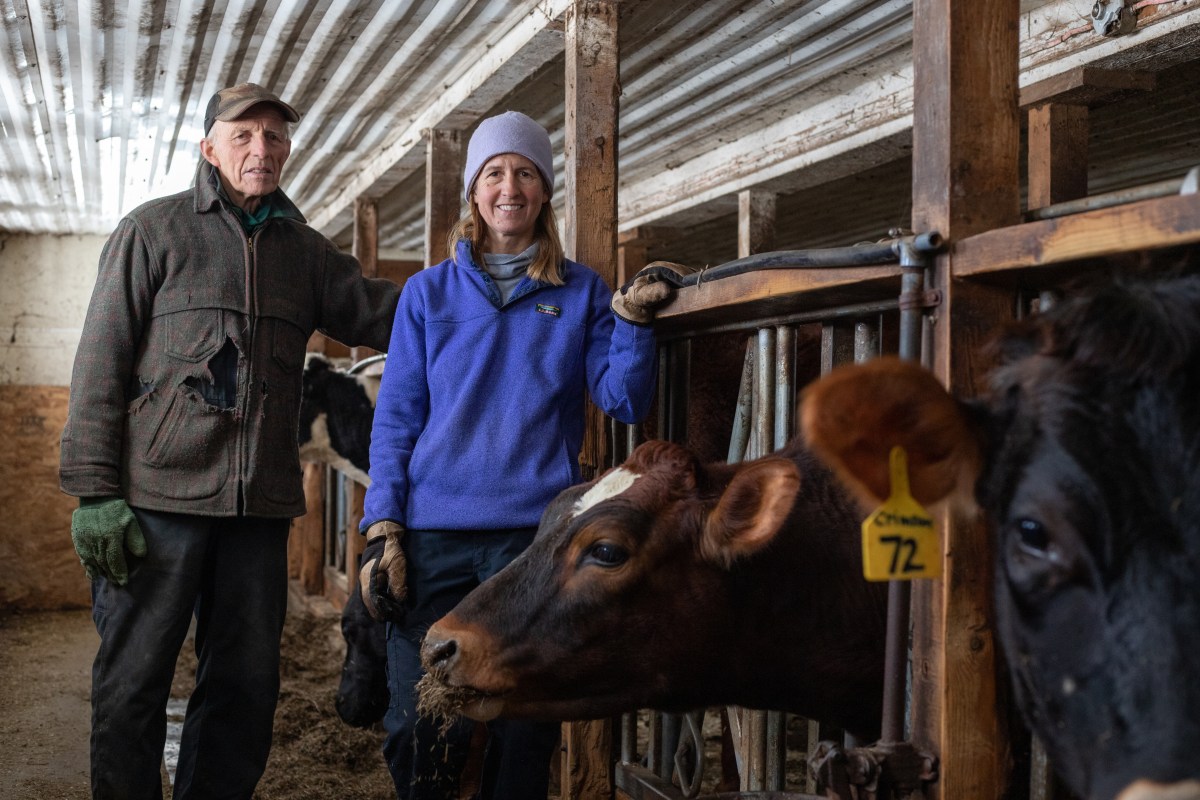 Organic Valley offers ‘lifeboat’ for many organic farmers, but national trends still threaten Northeast