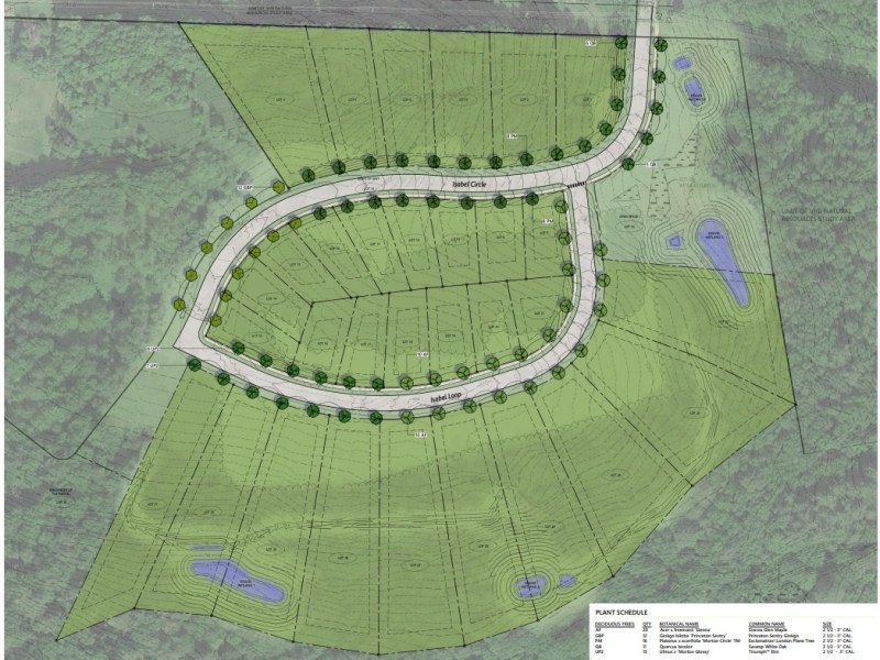 Aerial map of a residential subdivision layout with lots, curved roads, tree symbols, ponds, and contour lines. Plant schedule and legend are in the bottom right corner.